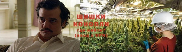 ECSTASY Абаза