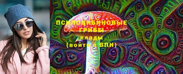 ECSTASY Абаза