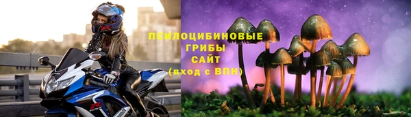 ECSTASY Абаза