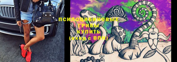 стафф Алексеевка