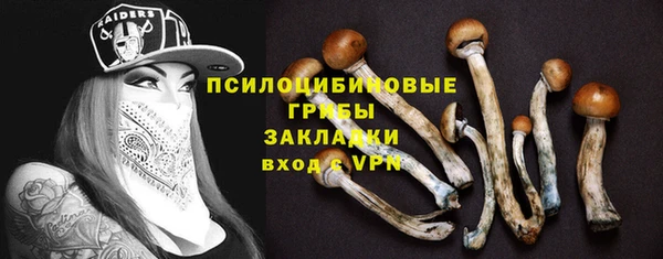 ECSTASY Абаза